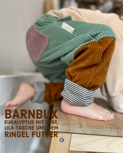 BARNBUX Bio-Kindermode mitwachsende Kinderhose Eukalyptus Rost |  Bio Cordnicki